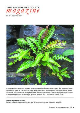 The Petworth Society Magaine 197 Dec 2024
